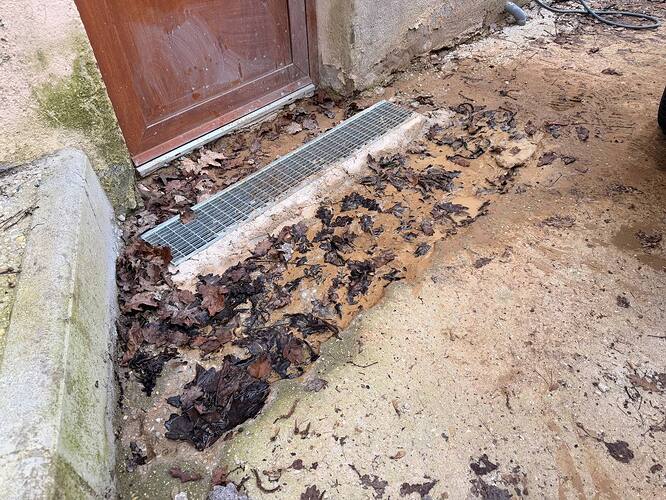 MNDS BATI SERVICES - Abandon de chantier - Émancé