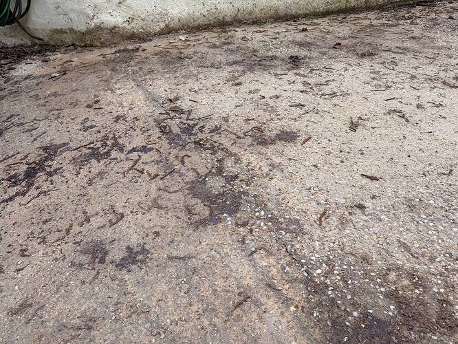 MNDS BATI SERVICES - Abandon de chantier - Émancé