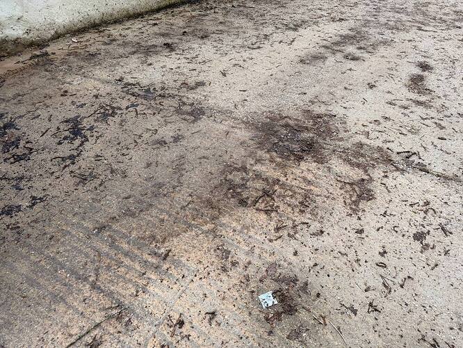 MNDS BATI SERVICES - Abandon de chantier - Émancé